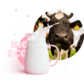 cow and milk jar